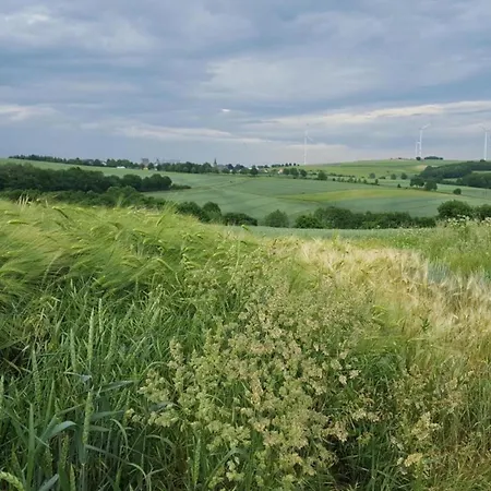 Апартаменты Gemuetliche In Kaifenheim