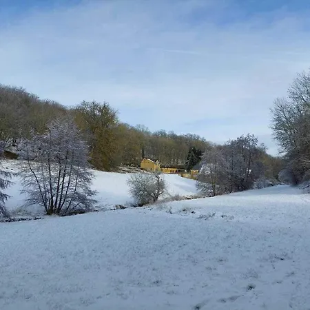 Apartment Gemuetliche Ferienwohnung In Kaifenheim