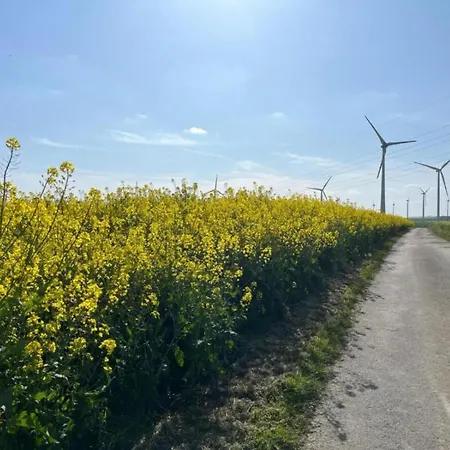 Gemuetliche In Kaifenheim