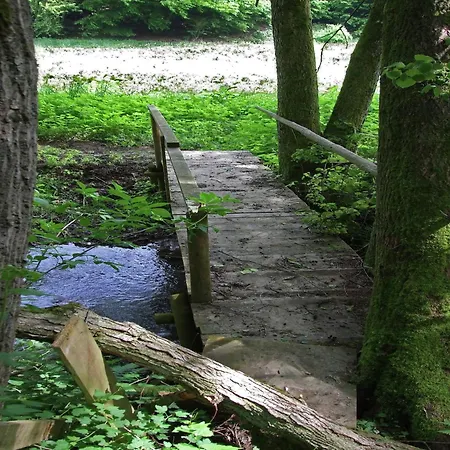 Gemuetliche Ferienwohnung In Kaifenheim Apartment *