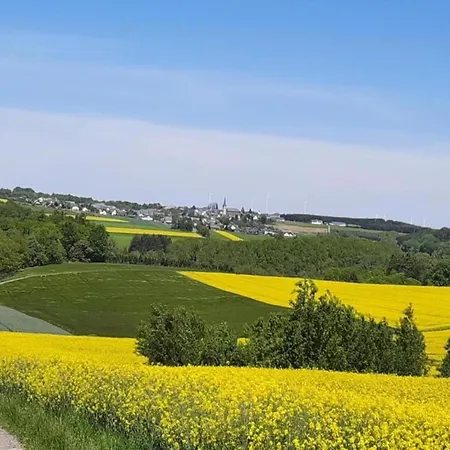 Apartamento Gemuetliche In Kaifenheim