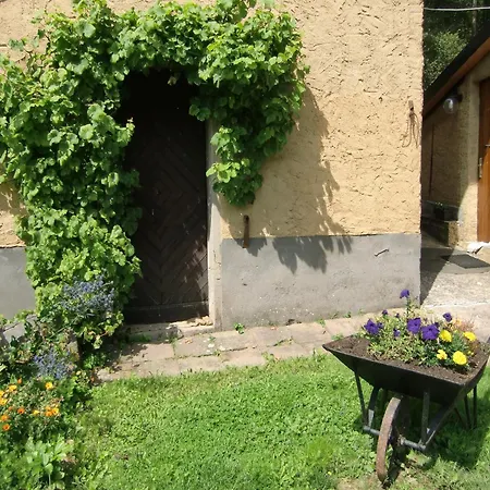Gemuetliche In Apartamento Kaifenheim