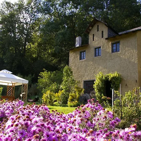 Gemuetliche Ferienwohnung In Kaifenheim Apartment