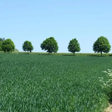 Apartment Gemuetliche Ferienwohnung In Kaifenheim *