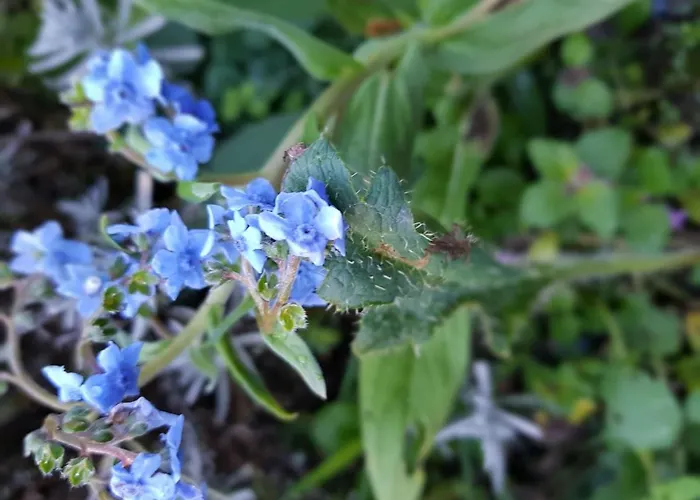 Gemuetliche In Apartamento *