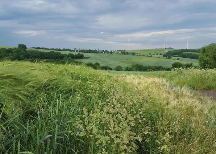 Apartamento Gemuetliche In Kaifenheim