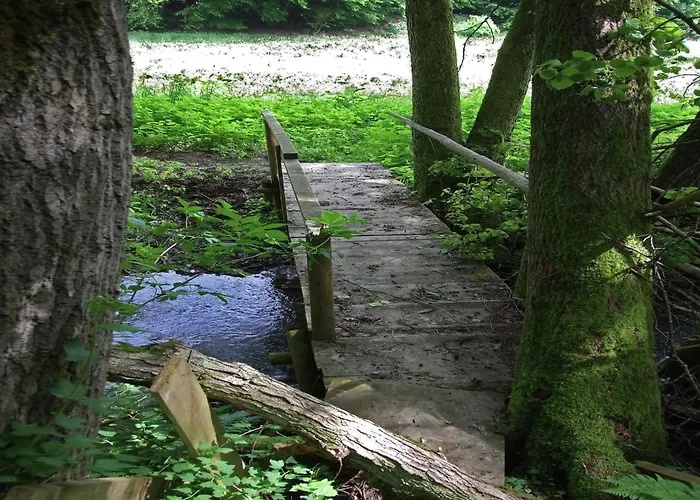 Gemuetliche In Apartamento *