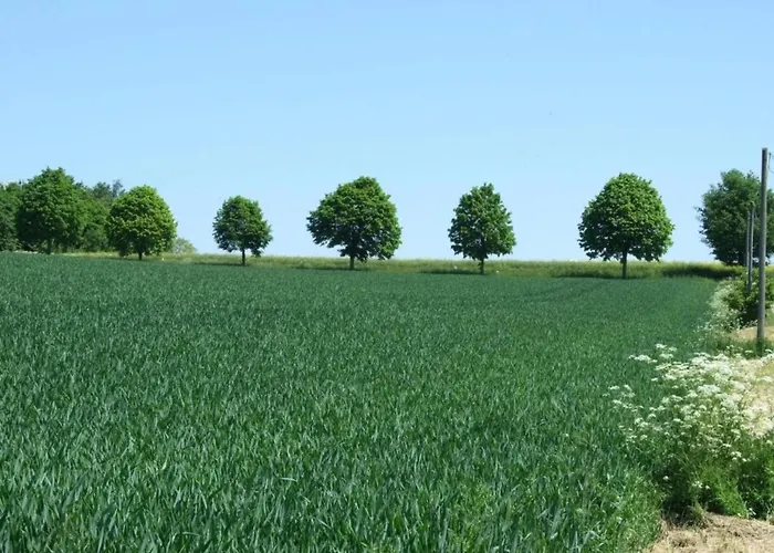 Apartamento Gemuetliche In *